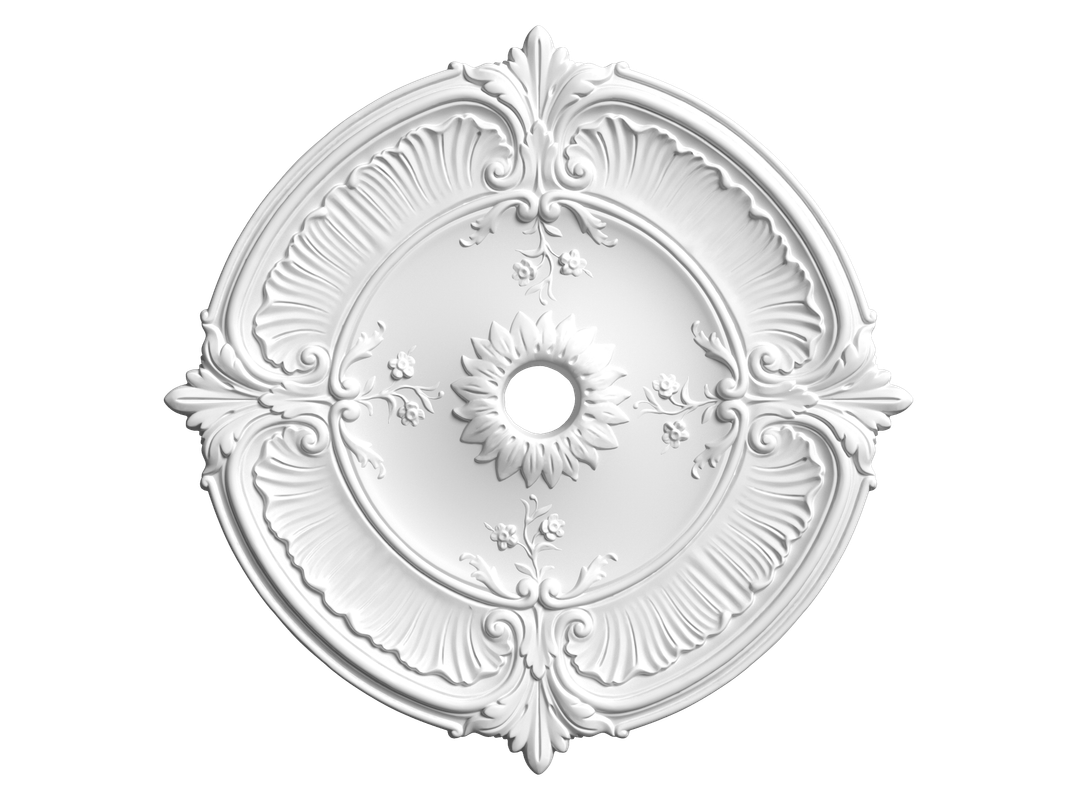Ceiling-ebyickp